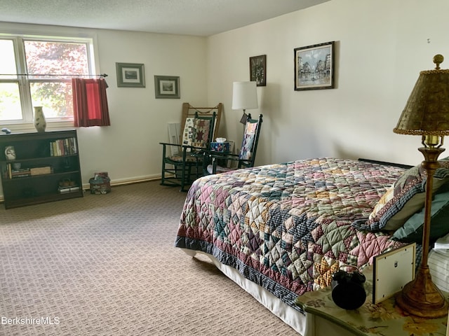9 Rolling Hls Unit 5, Lenox, MA 01240 - bedroom featuring carpet and baseboards