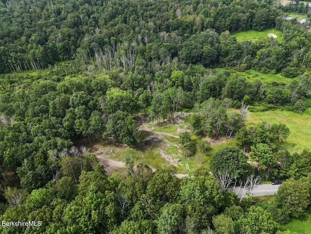 71 Miner Rd, Lanesborough, MA 01237 - photo 2