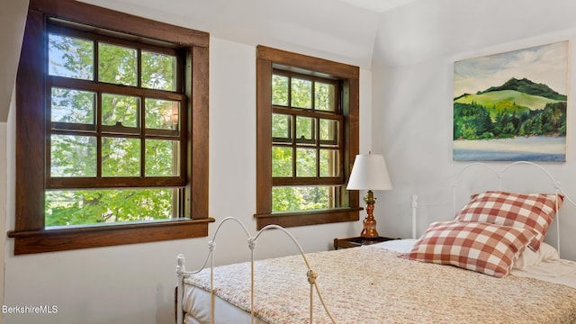 bedroom with multiple windows and vaulted ceiling