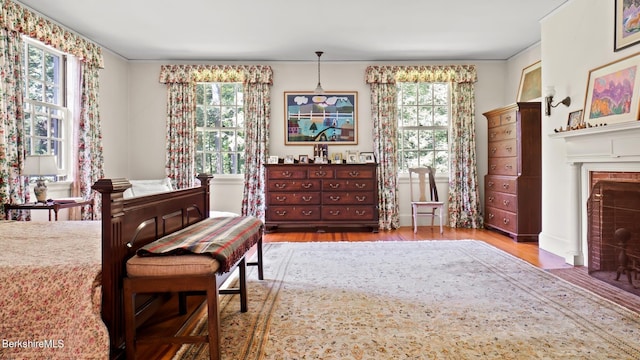 sitting room featuring wood-type flooring