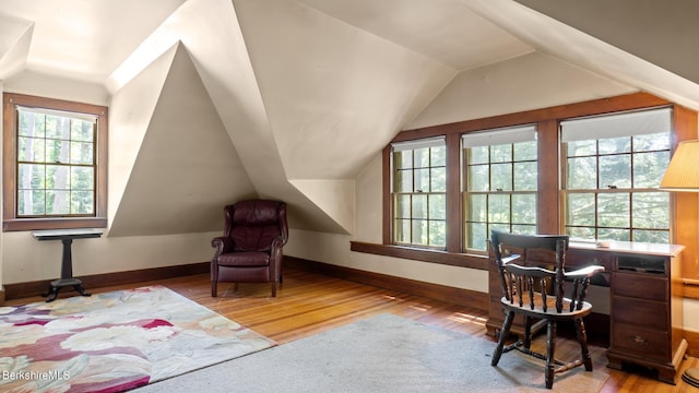 office with light hardwood / wood-style floors and lofted ceiling