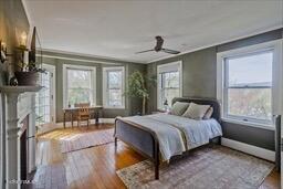 bedroom featuring multiple windows, wood finished floors, and a fireplace