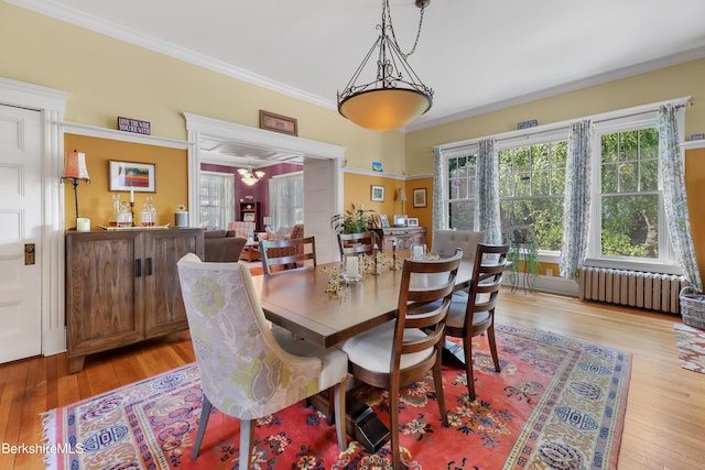 dining area with radiator, ornamental molding, and light wood-style flooring
