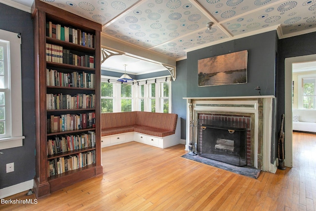 interior space with a fireplace, light hardwood / wood-style floors, and plenty of natural light