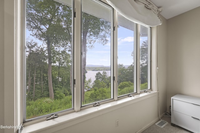 770 Summer St Unit 15A, Lee, MA 01238 - photo 19