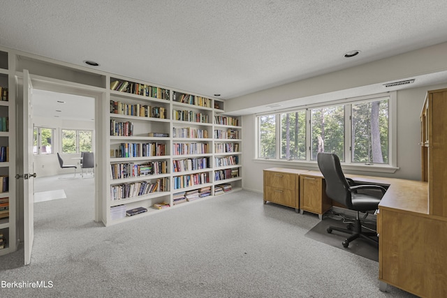 770 Summer St Unit 15A, Lee, MA 01238 - photo 29