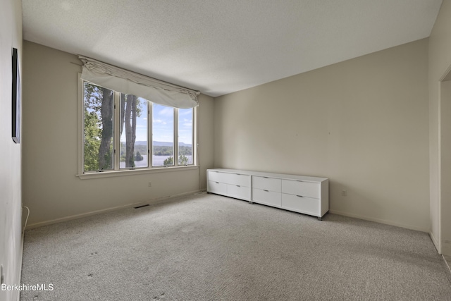 770 Summer St Unit 15A, Lee, MA 01238 - photo 18