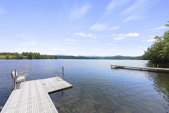 770 Summer St Unit 15A, Lee, MA 01238 - photo 40