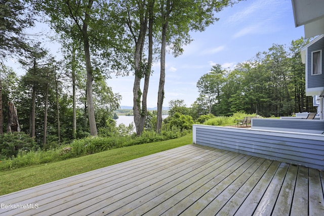 770 Summer St Unit 15A, Lee, MA 01238 - photo 36