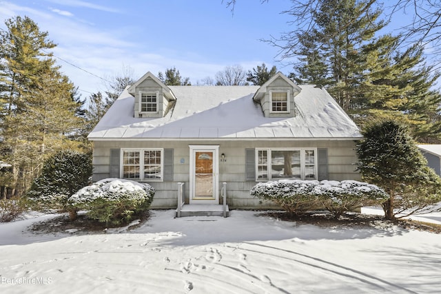 view of cape cod house