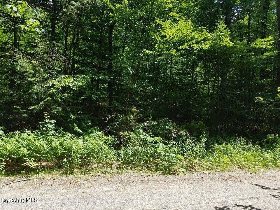 0 Winter Dr, Becket, MA 01223