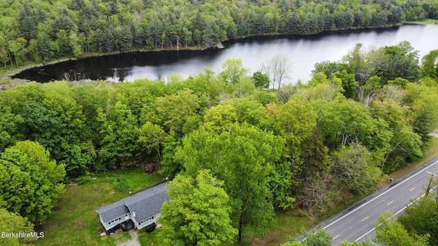 732 Main St, Becket, MA 01223 - aerial view of a heavily wooded area and a nearby body of water