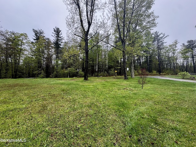 732 Main St, Becket, MA 01223 - view of grassy yard
