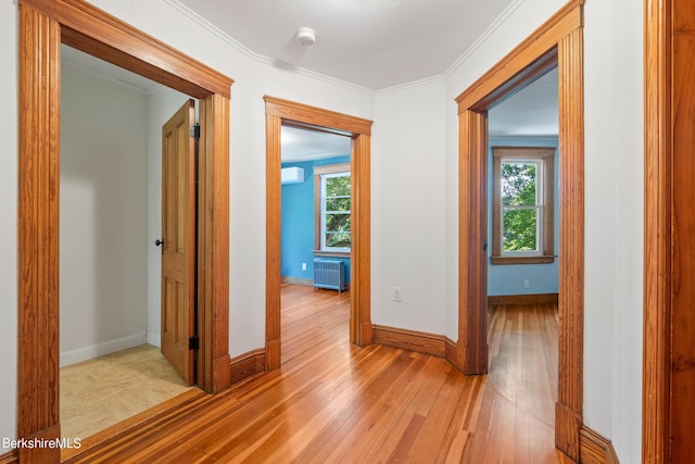 hallway with plenty of natural light, crown molding, radiator, and light hardwood / wood-style flooring