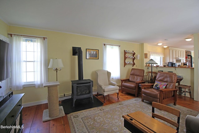 196 Huntington Rd, Worthington, MA 01098 - living area with a wood stove, healthy amount of natural light, hardwood / wood-style flooring, and crown molding