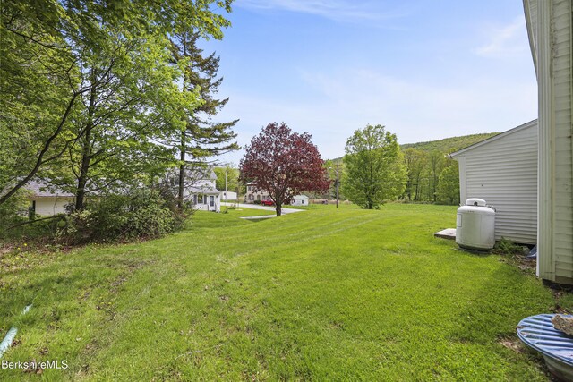 203 Main St, Hancock, MA 01237 - view of green lawn