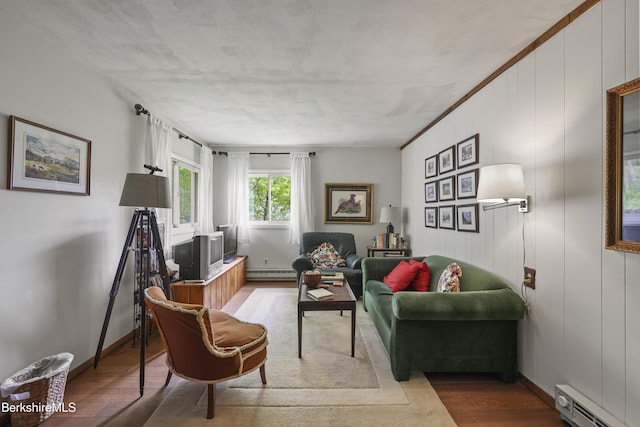 203 Main St, Hancock, MA 01237 - living area featuring a baseboard radiator, wood finished floors, and baseboards