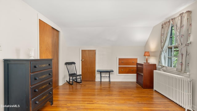 147 Hurlburt Rd, Great Barrington, MA 01230 - sitting room featuring radiator heating unit, light wood-style floors, lofted ceiling, and baseboards