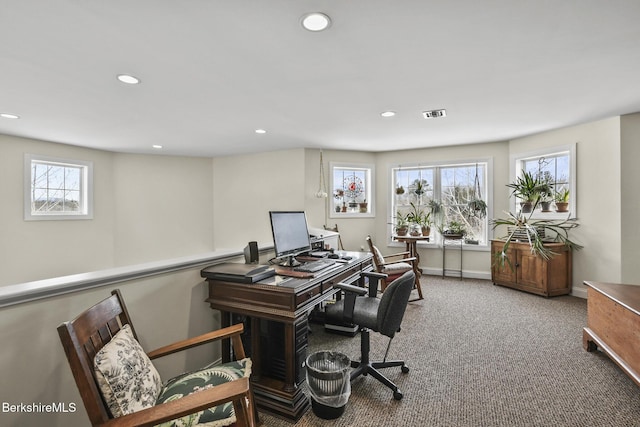 12 Alpine Trl Unit 12, Pittsfield, MA 01201 - carpeted office space featuring recessed lighting and baseboards