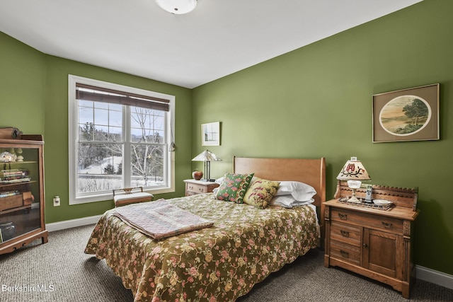 12 Alpine Trl Unit 12, Pittsfield, MA 01201 - bedroom featuring carpet and baseboards