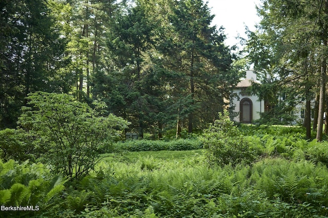 319 Under Mountain Rd, Lenox, MA 01240 - view of undeveloped land