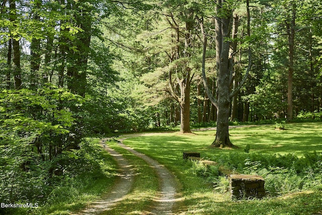 319 Under Mountain Rd, Lenox, MA 01240 - view of tree filled area