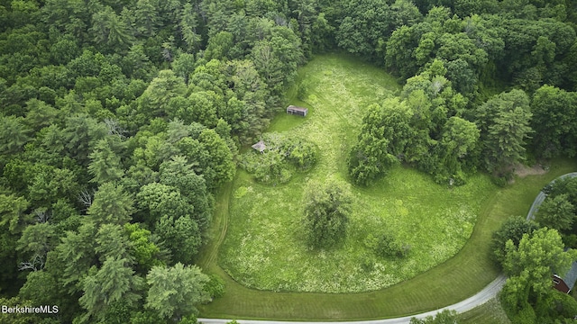 319 Under Mountain Rd, Lenox, MA 01240 - view of property location