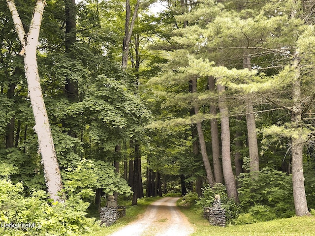 319 Under Mountain Rd, Lenox, MA 01240 - view of dirt / gravel road with a forest view