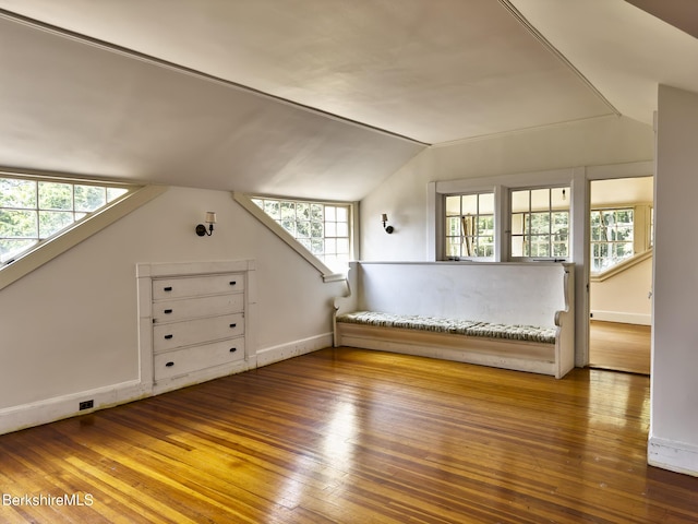 319 Under Mountain Rd, Lenox, MA 01240 - bonus room featuring vaulted ceiling and wood-type flooring