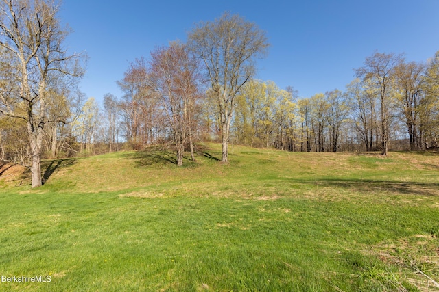 147 Brough Rd, Cheshire, MA 01225 - view of yard