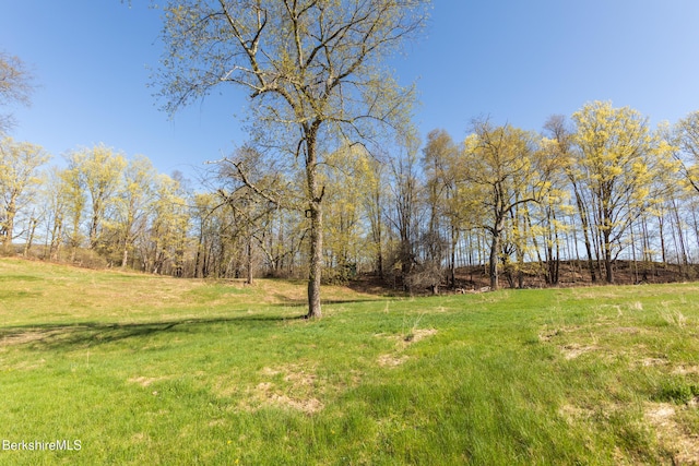 147 Brough Rd, Cheshire, MA 01225 - view of yard