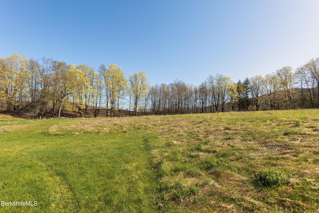 147 Brough Rd, Cheshire, MA 01225 - view of yard with a rural view