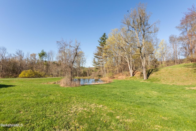 147 Brough Rd, Cheshire, MA 01225 - view of yard with a water view