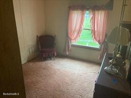 living area with carpet floors