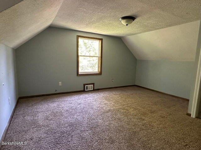 9 Woronoco Rd, Blandford, MA 01008 - additional living space featuring carpet floors, a textured ceiling, and vaulted ceiling