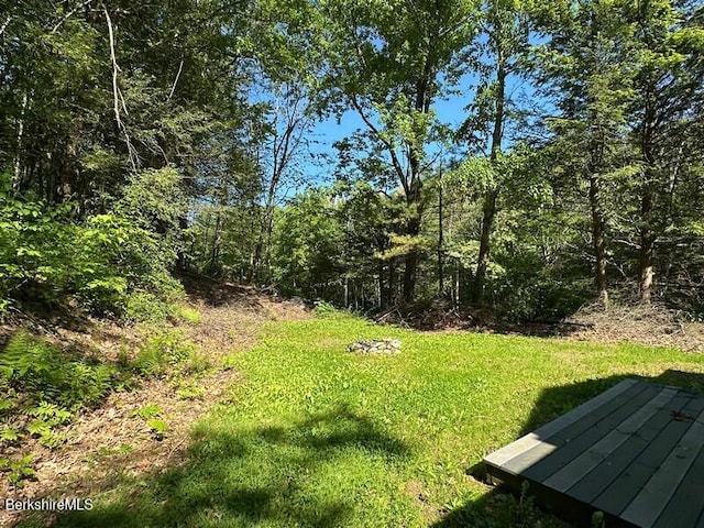 9 Woronoco Rd, Blandford, MA 01008 - view of grassy yard