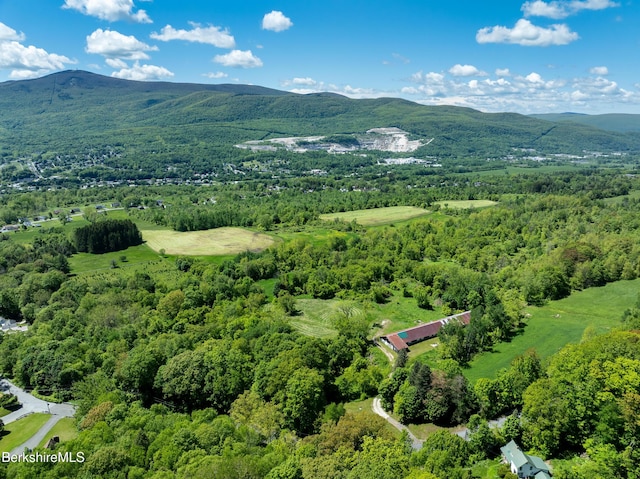128 E Hoosac St, Adams, MA 01220