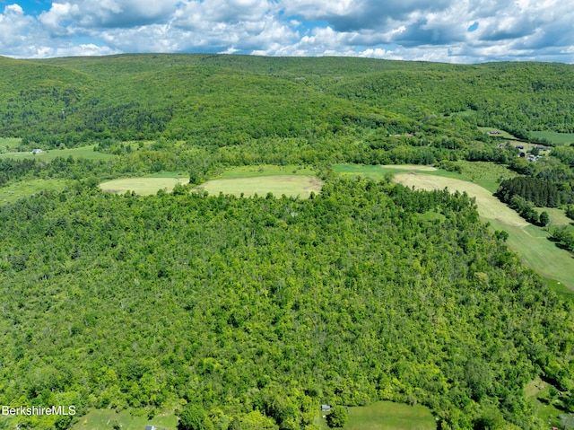 128 E Hoosac St, Adams, MA 01220