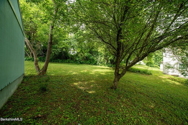 7 Hughes St, Adams, MA 01220 - view of grassy yard