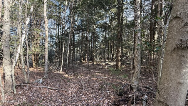 LOT26 Stony Brk, Becket, MA 01223