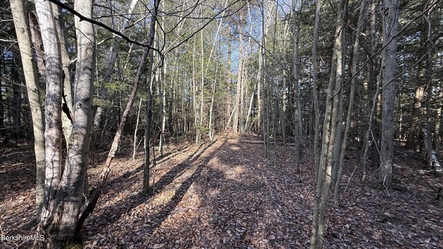 LOT26 Stony Brk, Becket, MA 01223