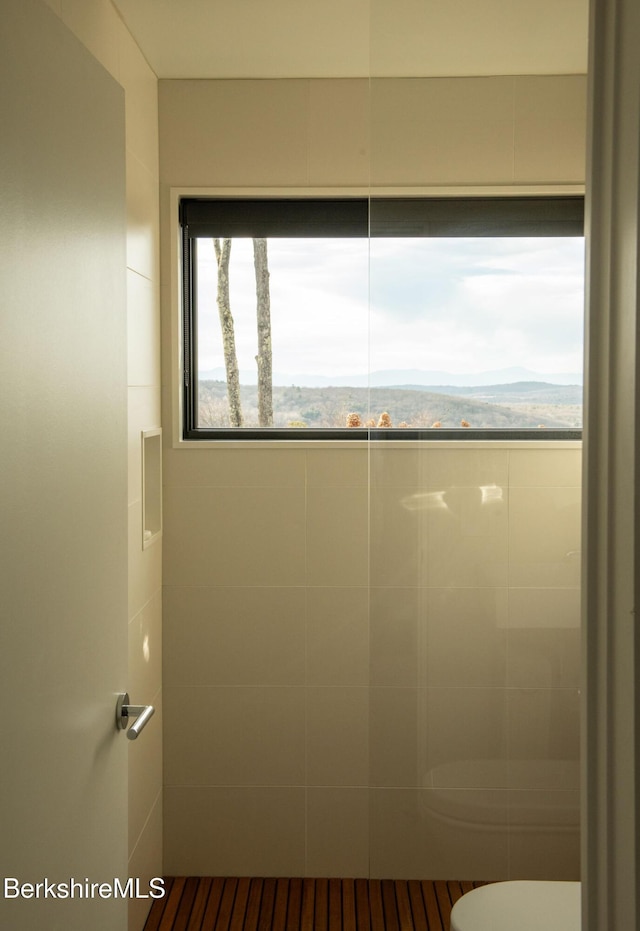 bathroom featuring toilet and a mountain view