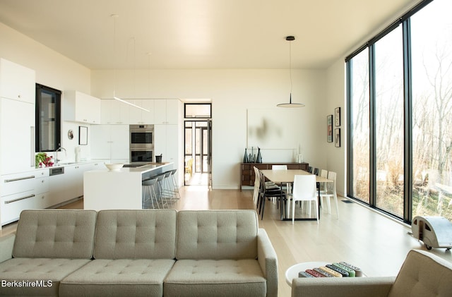 living area with light wood finished floors, a wall of windows, and plenty of natural light