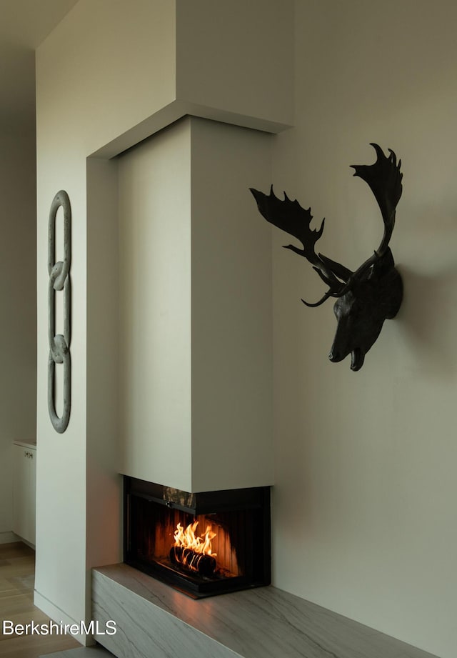 interior details featuring wood finished floors and a multi sided fireplace