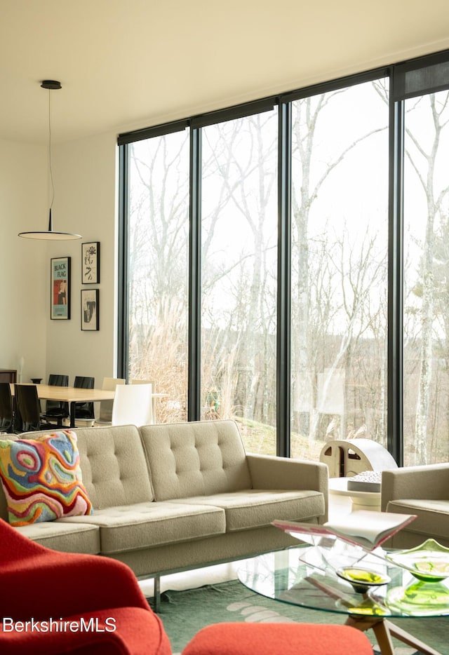 living room featuring a wall of windows