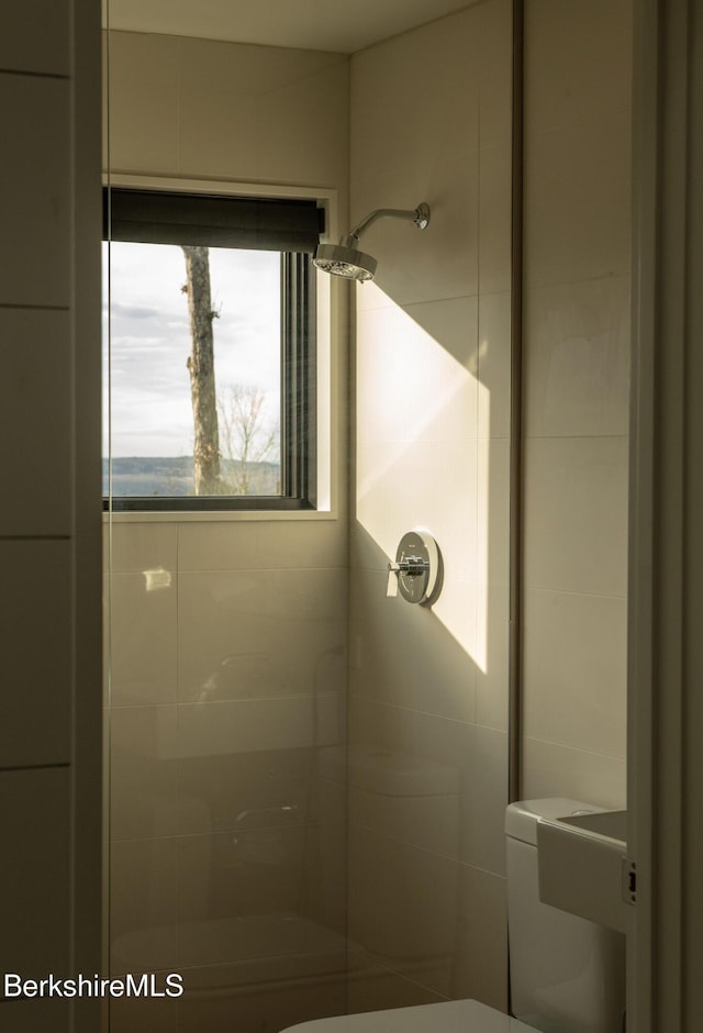 bathroom with toilet and a stall shower