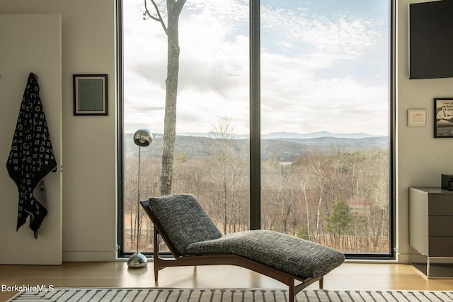 living area featuring plenty of natural light, wood finished floors, a mountain view, and floor to ceiling windows