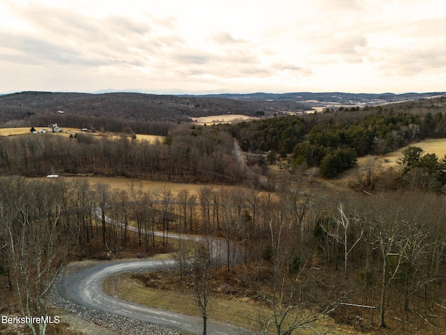 view of mountain feature with a rural view