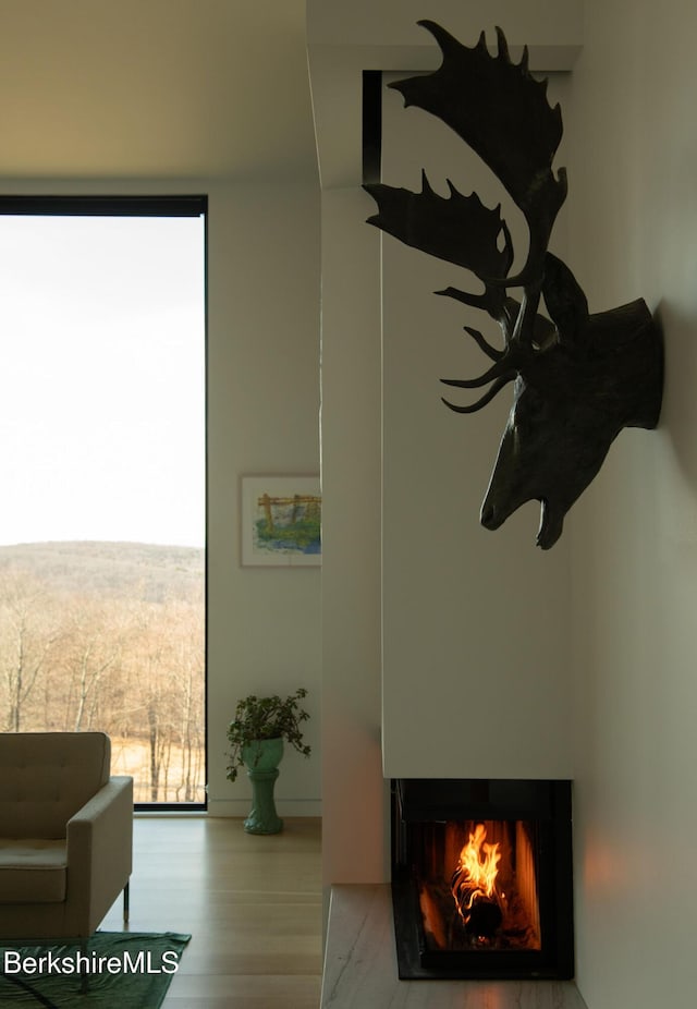 interior details featuring a warm lit fireplace and wood finished floors