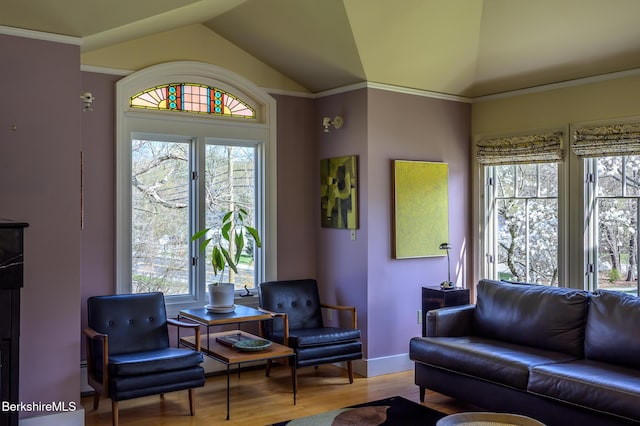 living room with baseboards, a wealth of natural light, wood finished floors, and lofted ceiling
